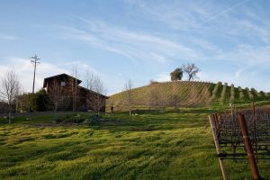 linne calodo positive farming