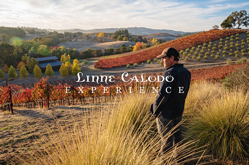 linne calodo wine bulletin