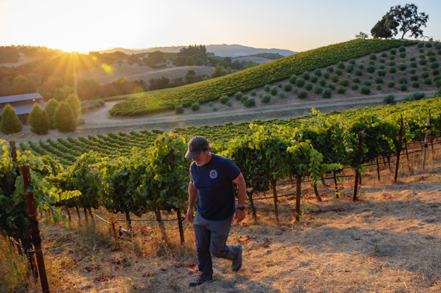 lc 2023 harvest matt