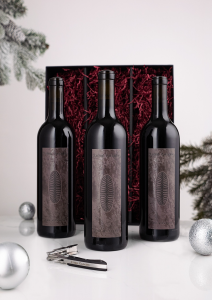 AnotherWorld2024web2