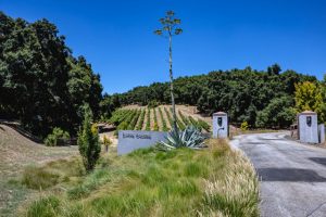 linne calodo entrance