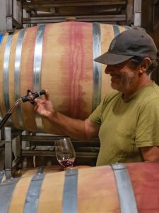 matt trevisan barrel sample