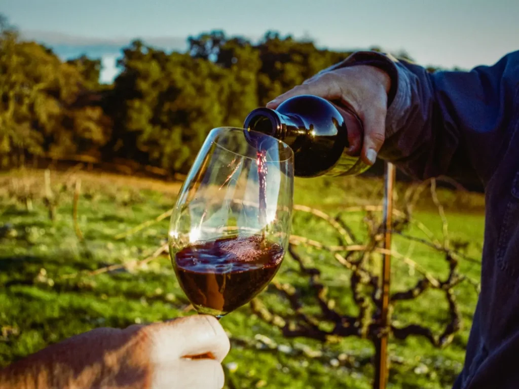 A Guide to Westside Paso Robles Wineries: Linne Calodo & More