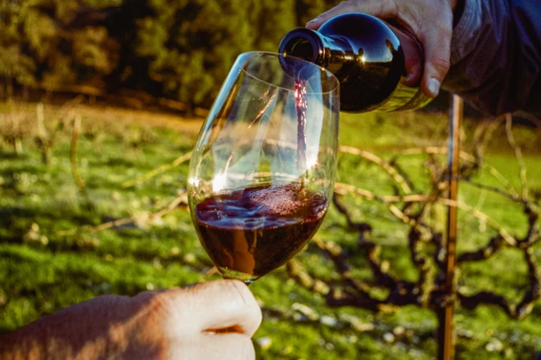 Web-shopwines-thumb